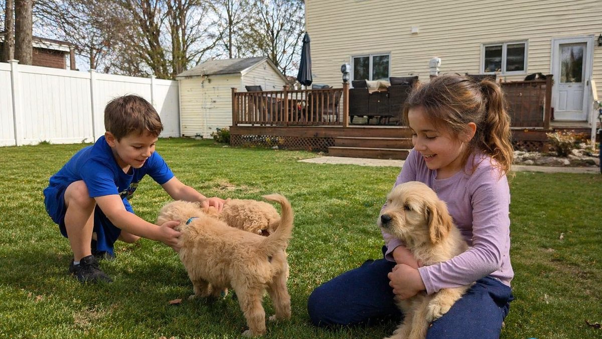 Illustration of children enjoying a backyard with their puppies